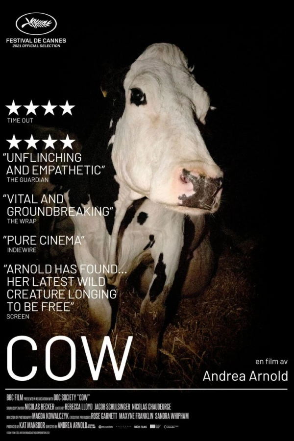 Cow Poster