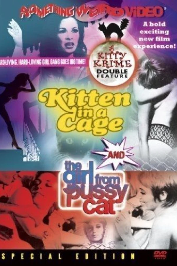 Kitten in a Cage Poster