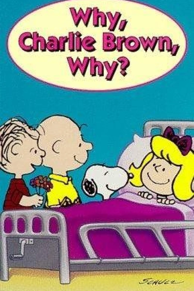 Why, Charlie Brown, Why? Poster