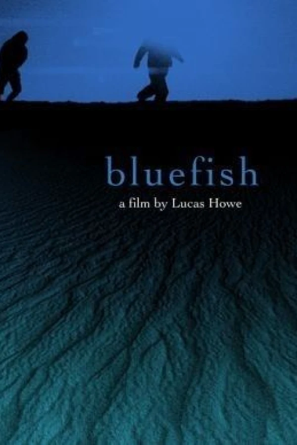 Bluefish Poster