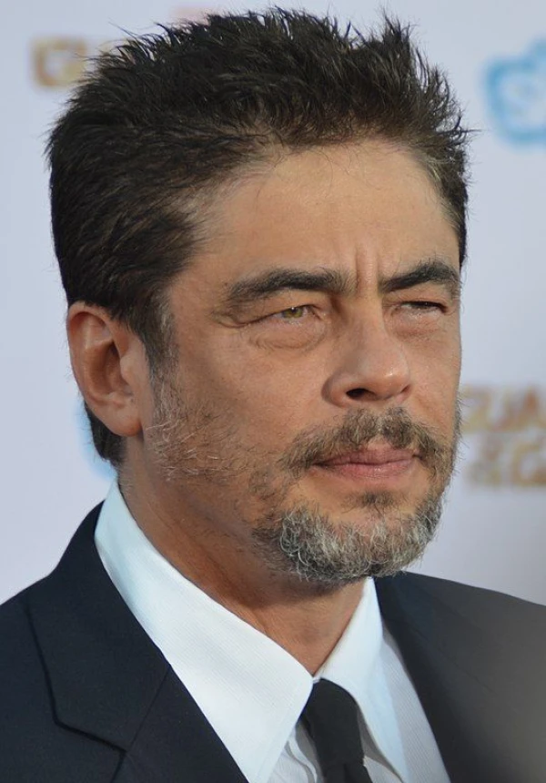 <strong>Benicio del Toro</strong>. Bild av Mingle Media TV.