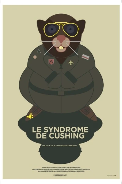 Le syndrome de Cushing