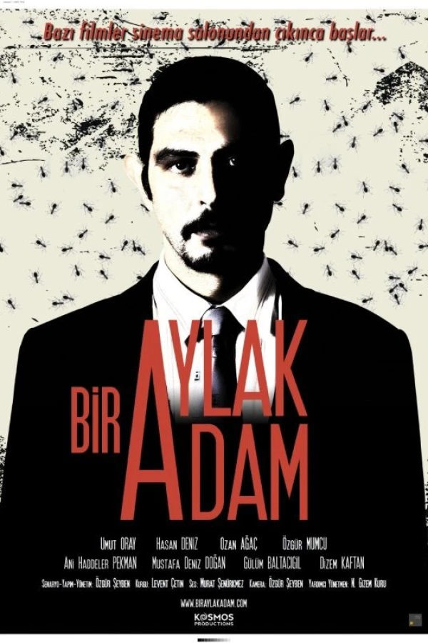 Bir Aylak Adam Poster