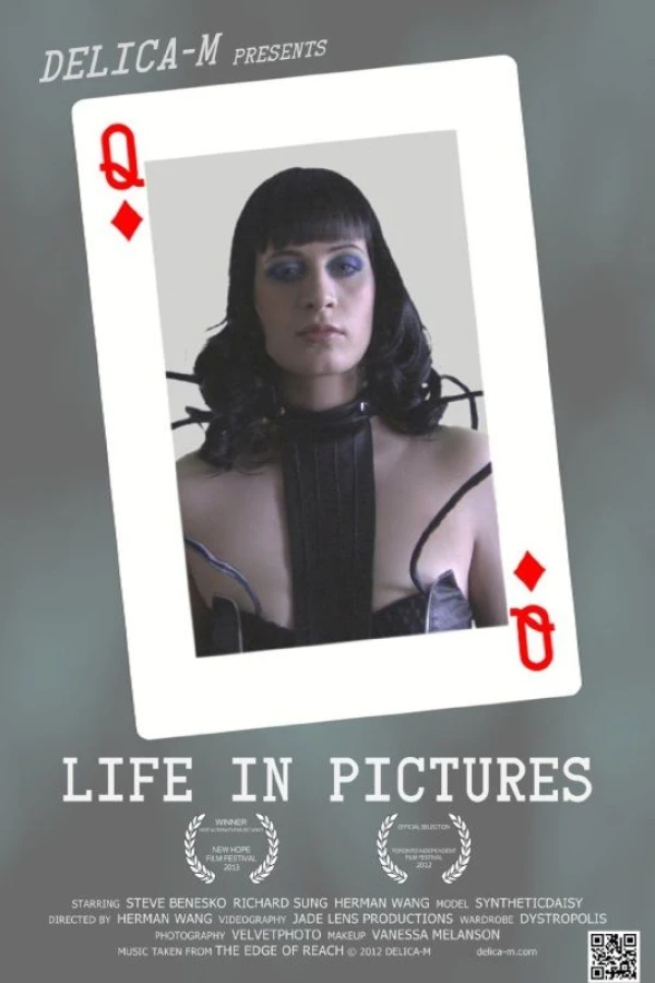 Delica-m: Life in Pictures Poster