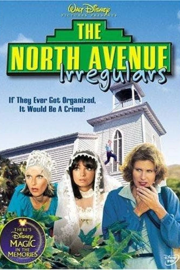 The North Avenue Irregulars Poster