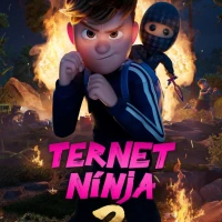 Ternet Ninja 3
