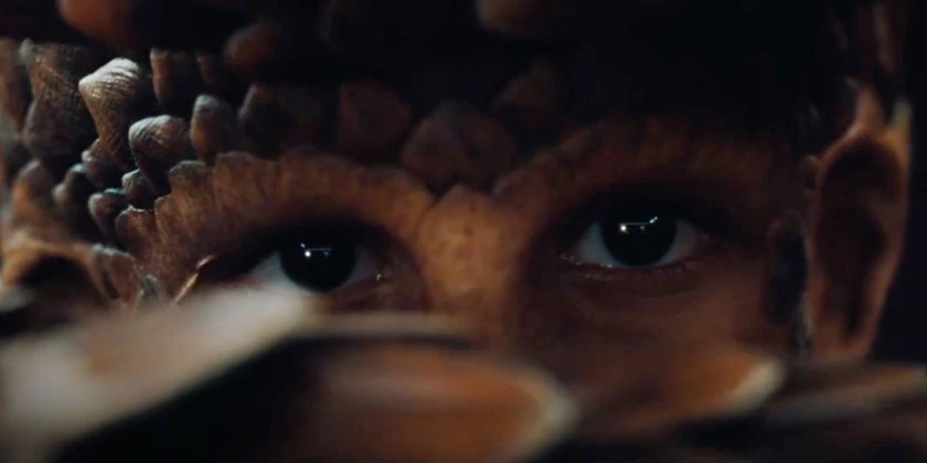 Recension: The Animal Kingdom