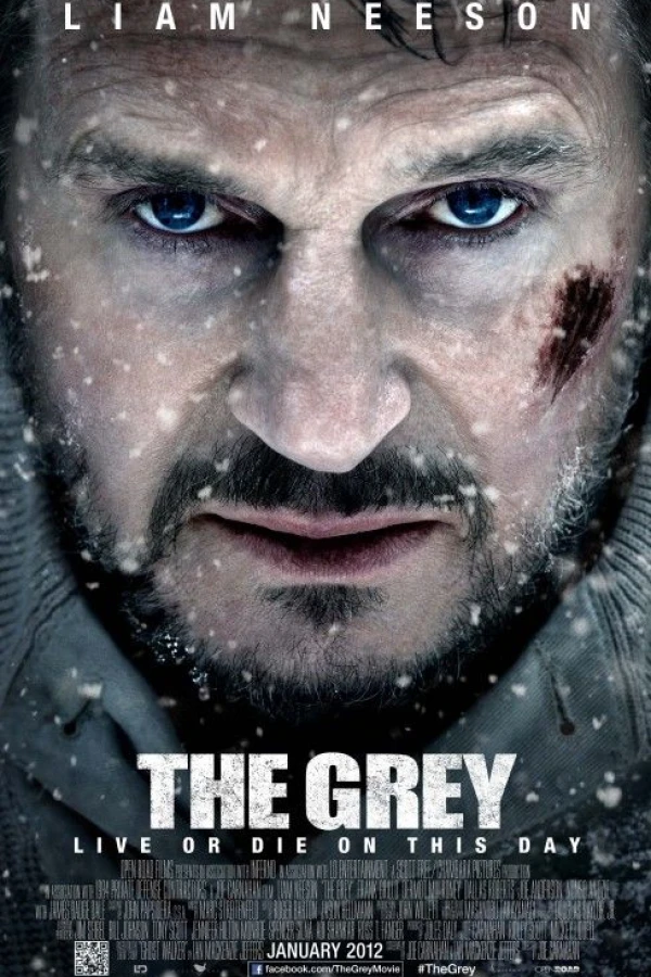 The Grey Poster