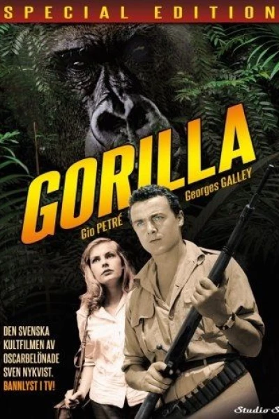 Gorilla Safari