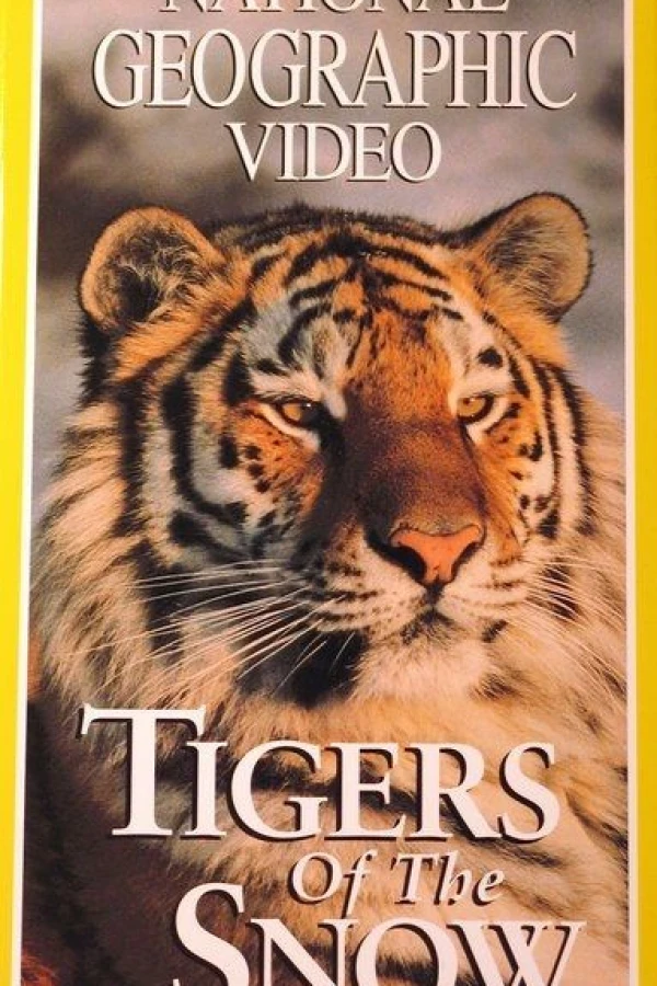 Tigers of the Snow Poster