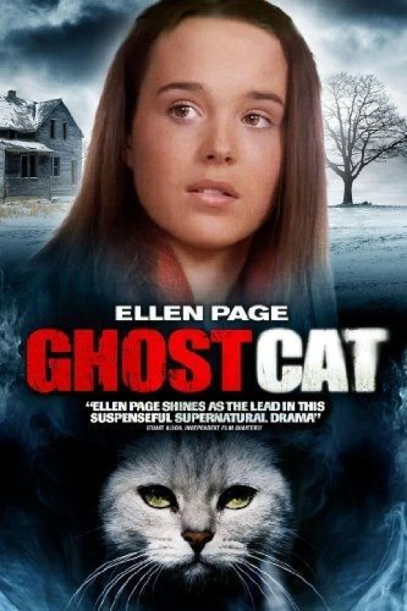 Mrs. Ashboro's Cat Poster