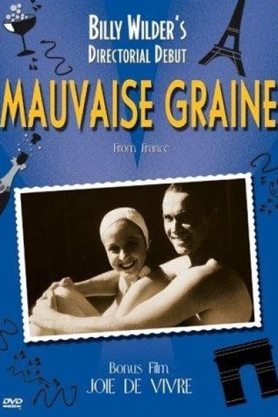 Mauvaise graine