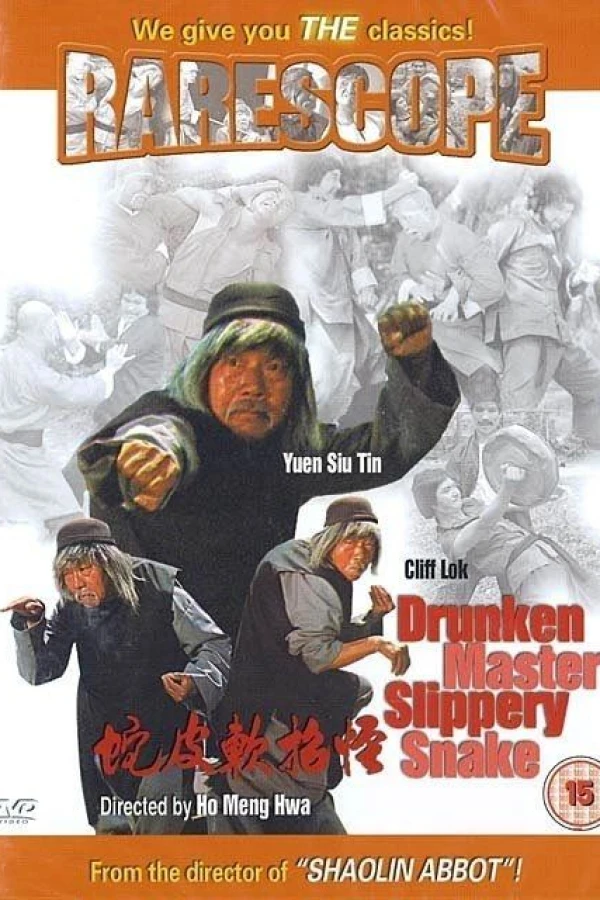An Old Kung Fu Master Poster