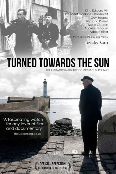 Turned Towards the Sun