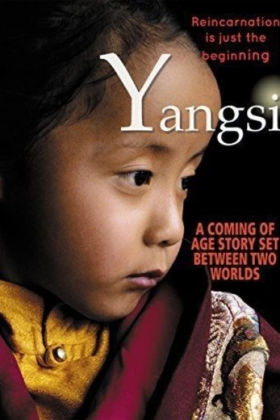 Yangsi