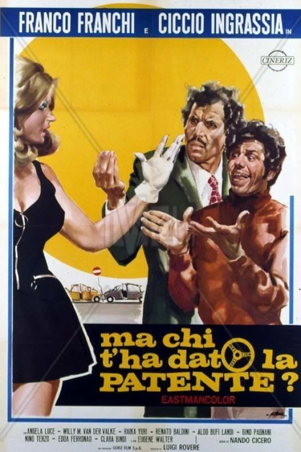 Ma chi t'ha dato la patente? Poster