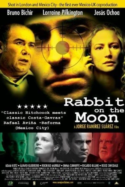 Rabbit on the Moon