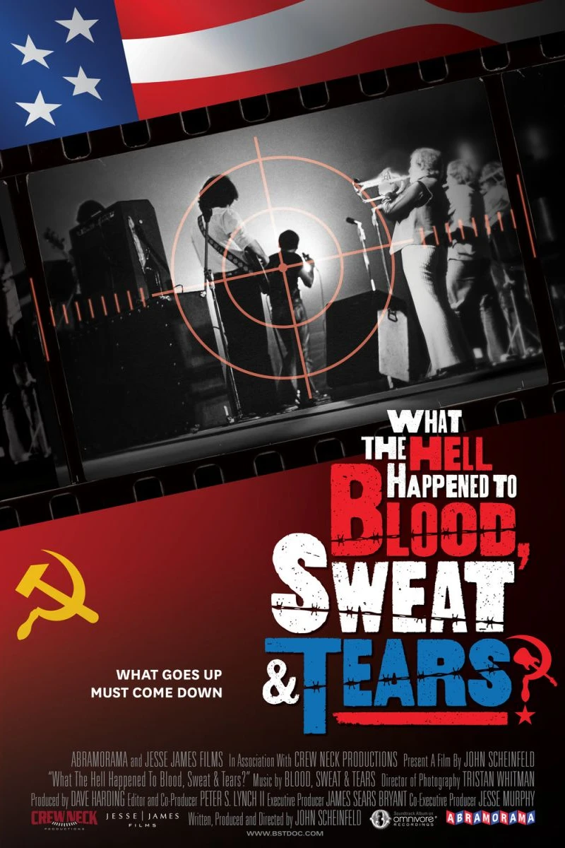 What the Hell Happened to Blood, Sweat Tears? Poster