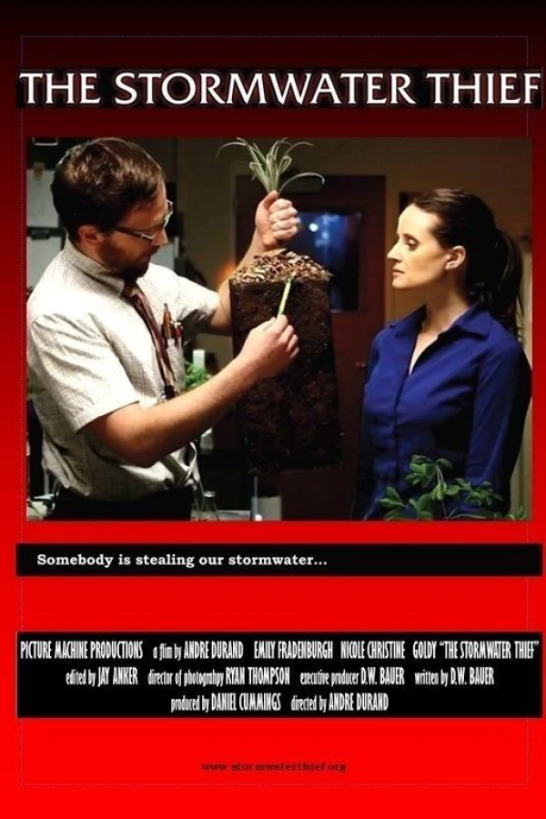 The Stormwater Thief Poster