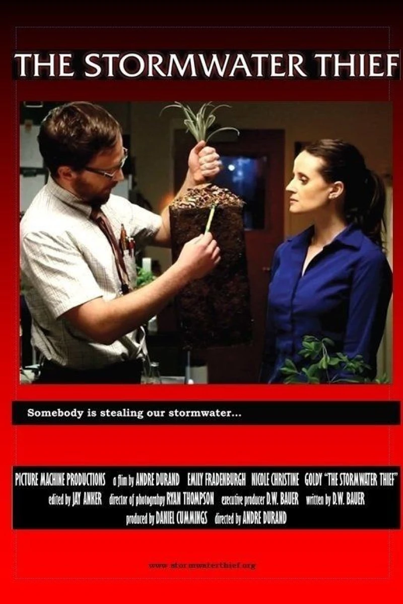 The Stormwater Thief Poster