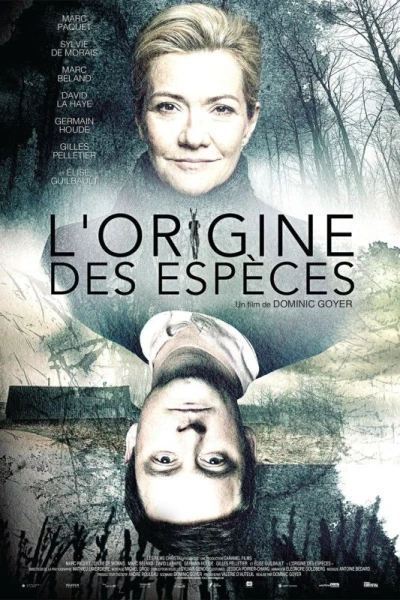 L'Origine des espèces