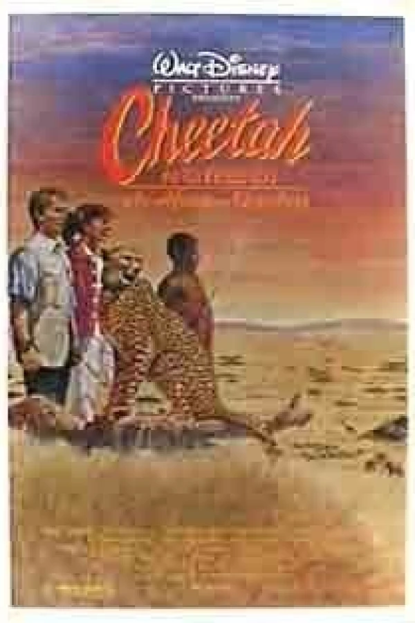 Cheetah Poster